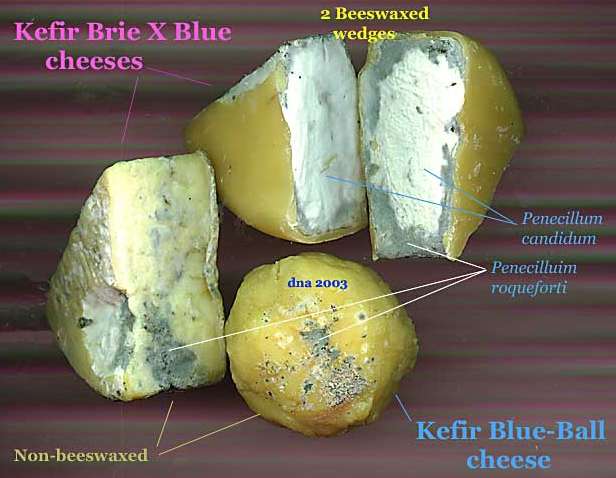 Kefir Cheese