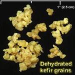 How To Store Kefir Grains - My Fermented Life